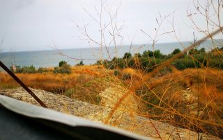 Светът на Гери: на море