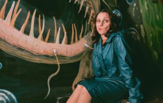 Светът на Гери