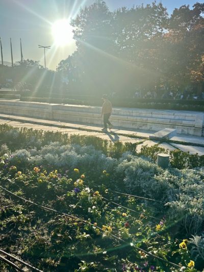 Светът на Гери 